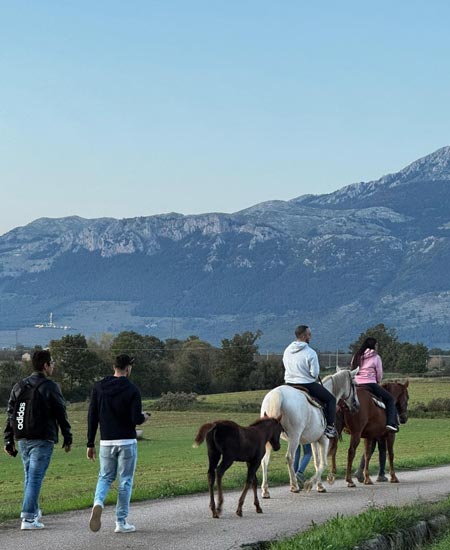 escursioni-cavallo-tenute-masullo-1