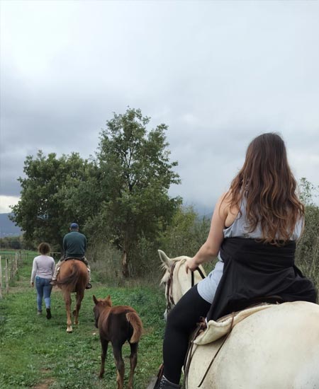 escursioni-cavallo-tenute-masullo-2