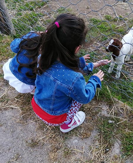 fattoria-didattica-tenute-masullo-4_