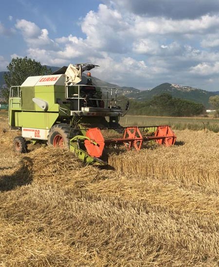 km0-tenuta-masullo