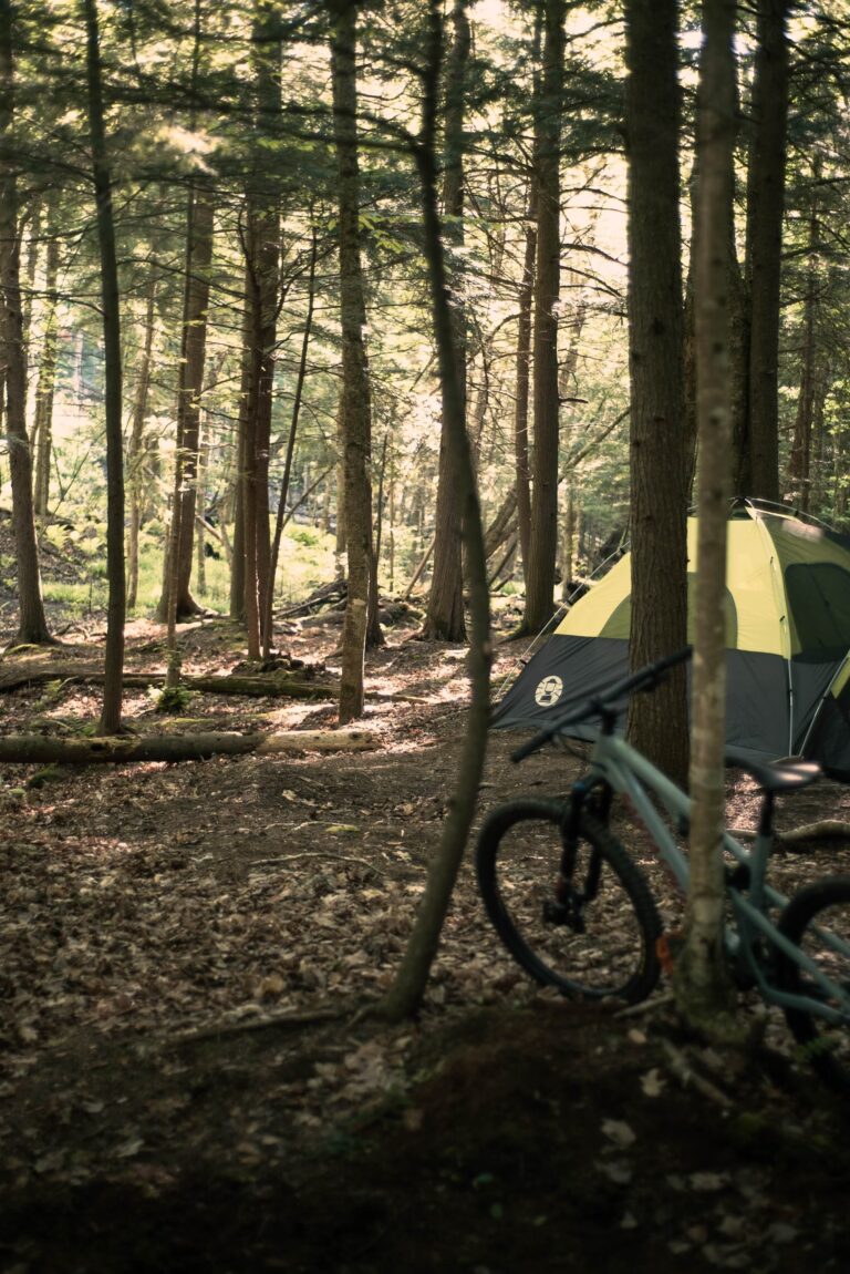 mountain bike