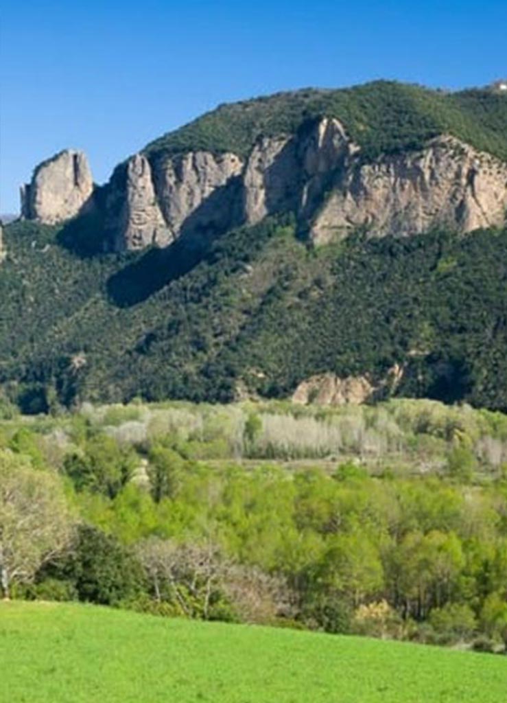 parco-tenute-masullo