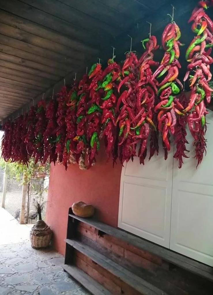 prodotti-tipici-tenute-masullo