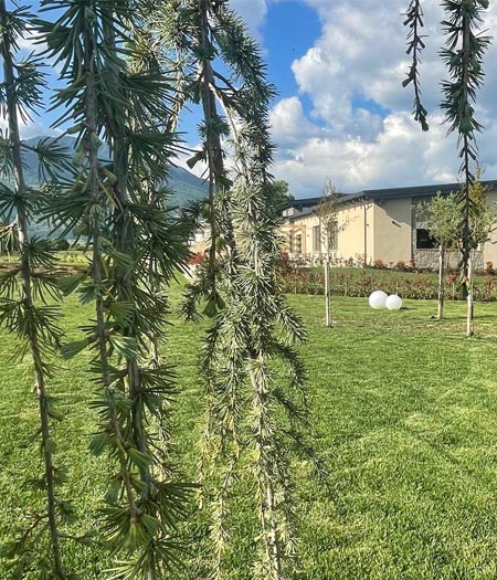 tenute-masullo-5